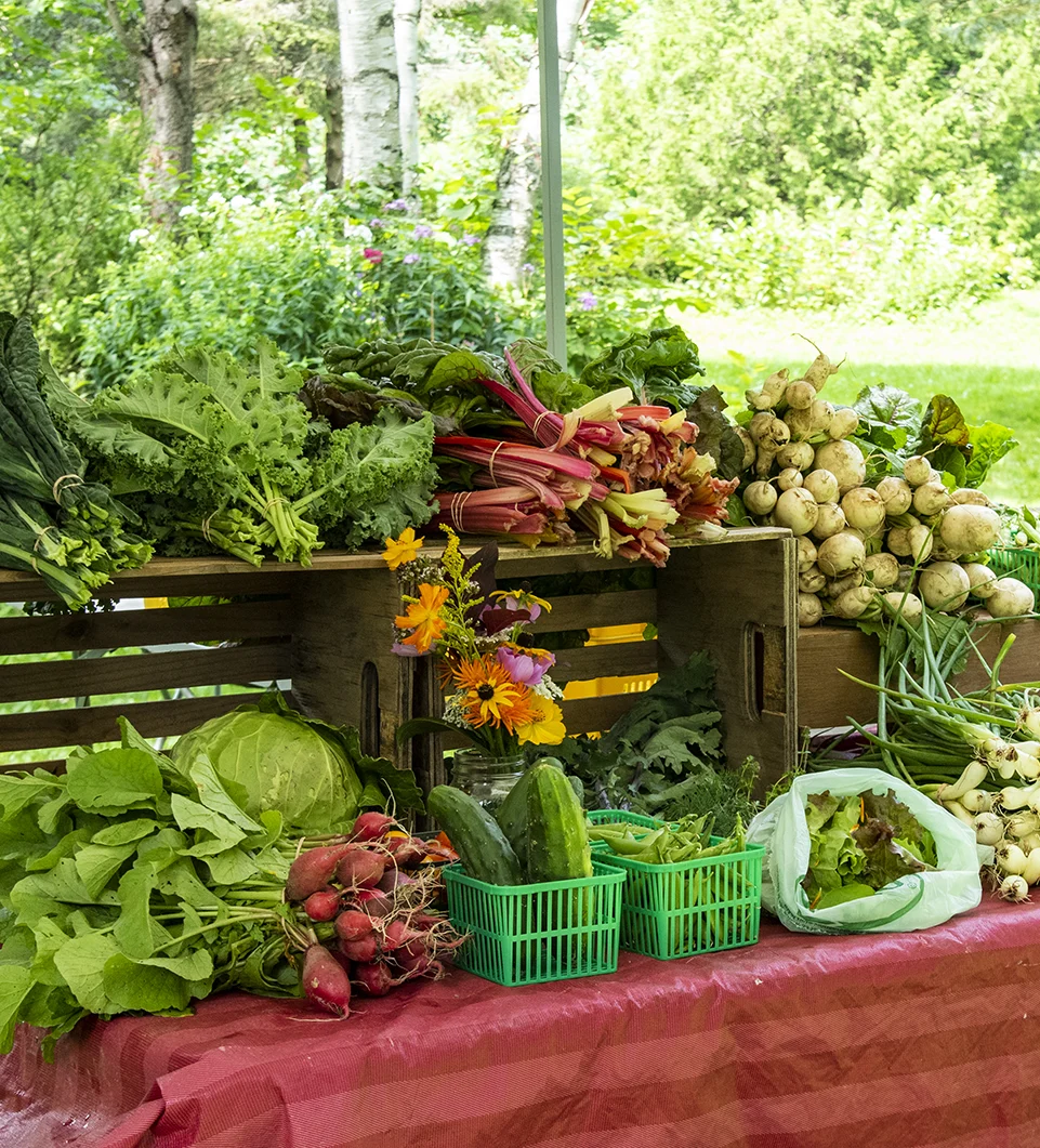 A wide variety of produce on a table