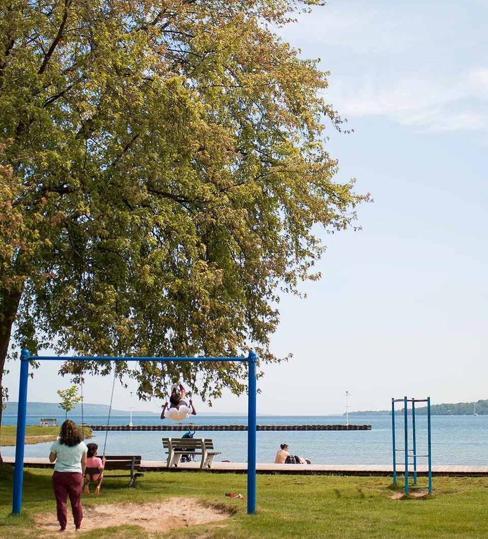 A park near the shore of a lake