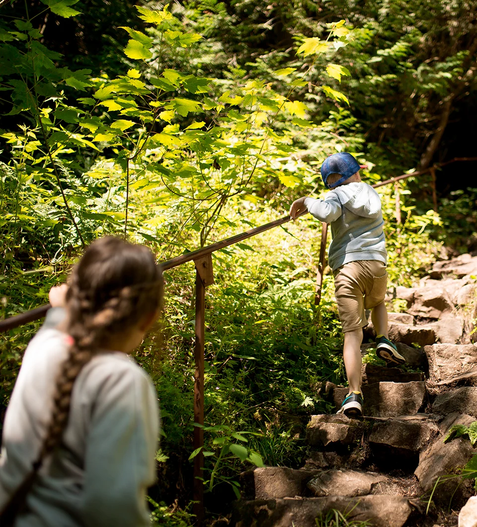 Two children climbing up rock steps in a forest on a trail