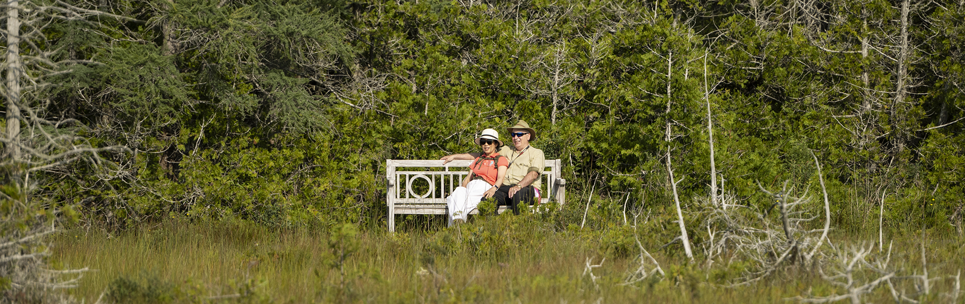 Elderly couple on a bench in a clearing by the woods